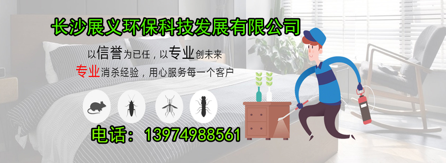 ta111111111.jpg